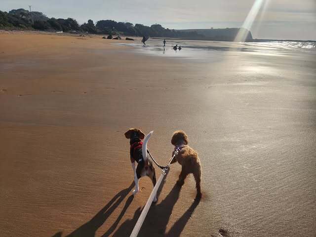 Walking on the beach together