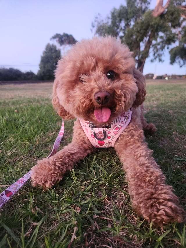 Luna