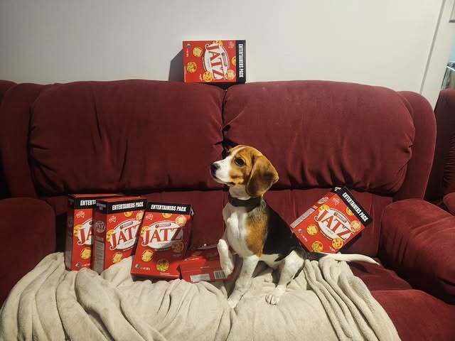 Winnie guarding the JATZ